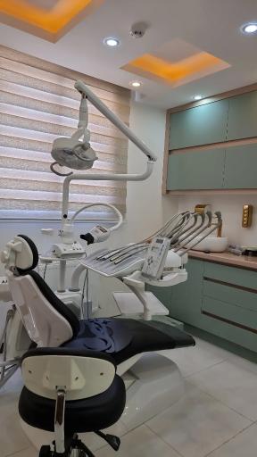 عکس دکتر الهام امینی