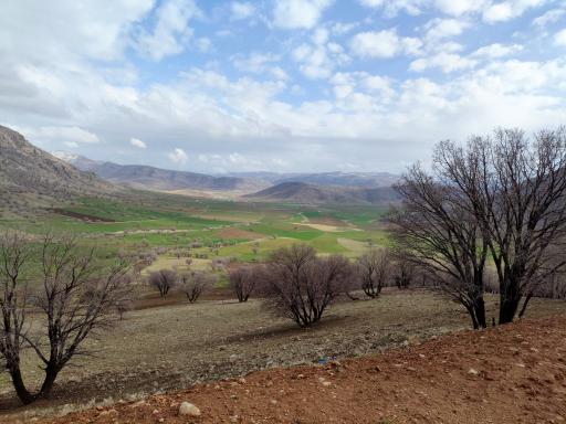 عکس سپید دشت