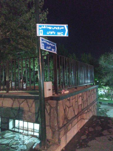 سرویس بهداشتی