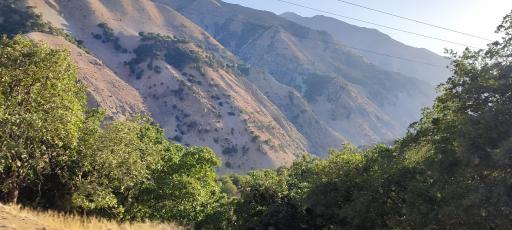 عکس سپید دشت