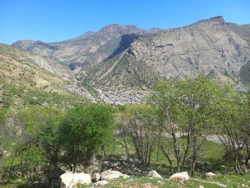 عکس سپید دشت