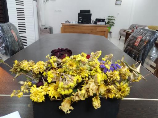 عکس املاک چشم انداز 