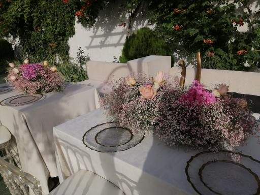 عکس تالار پذیرایی باغ اطلسی