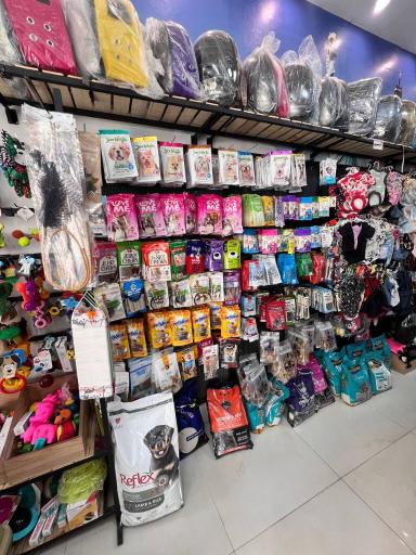 عکس پت شاپ سجاد