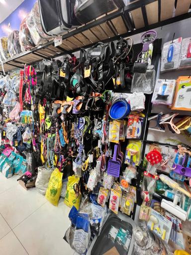 عکس پت شاپ سجاد