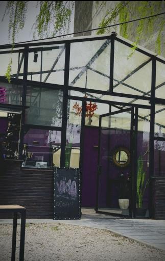 عکس کافه ویولا