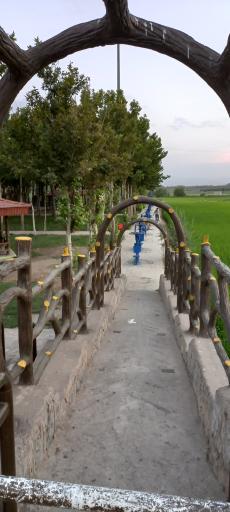 عکس پارک ساحلی سلامت