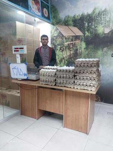 عکس مرکز پخش  تخم مرغ علیزاده 