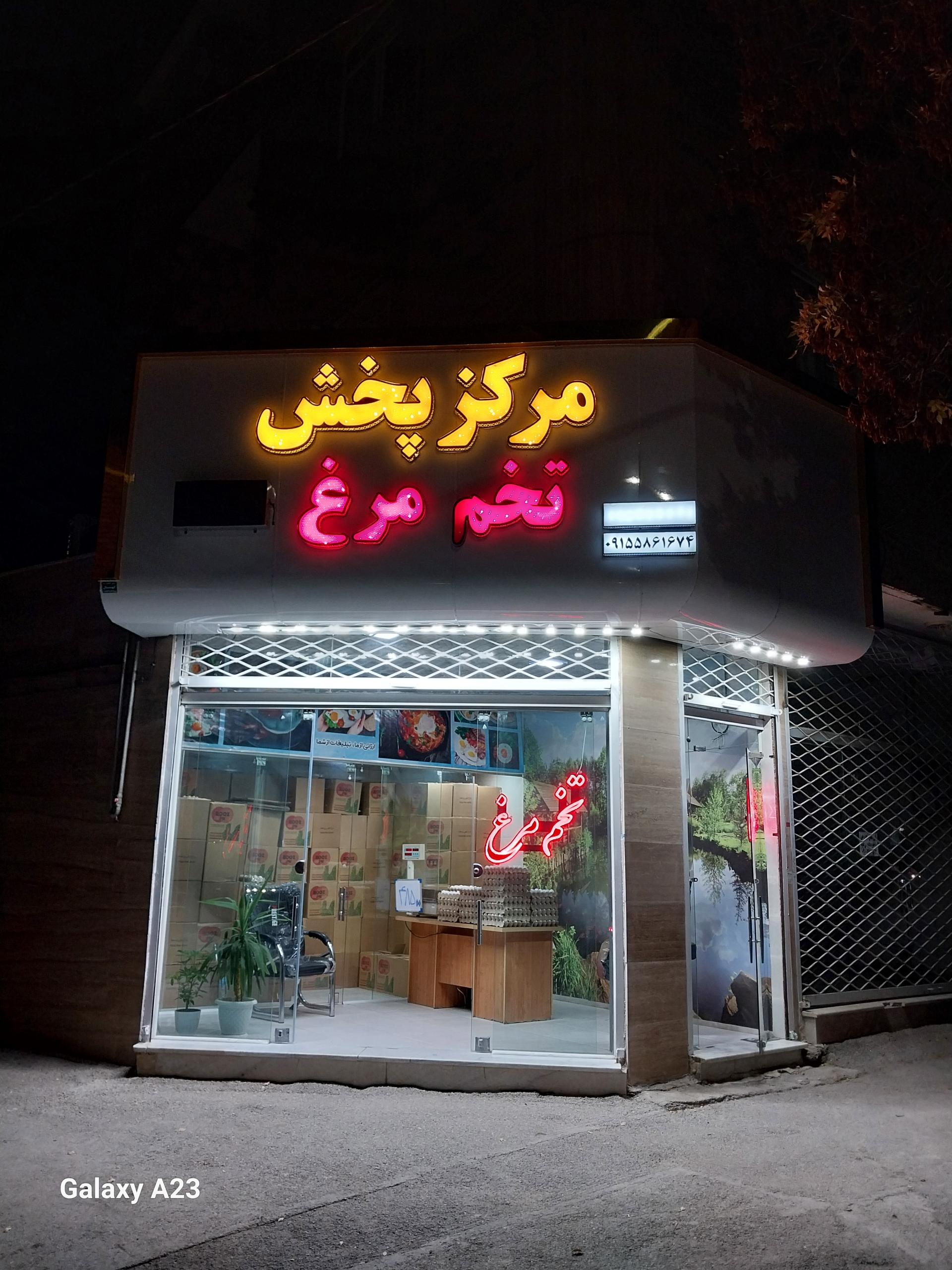 عکس مرکز پخش  تخم مرغ علیزاده 