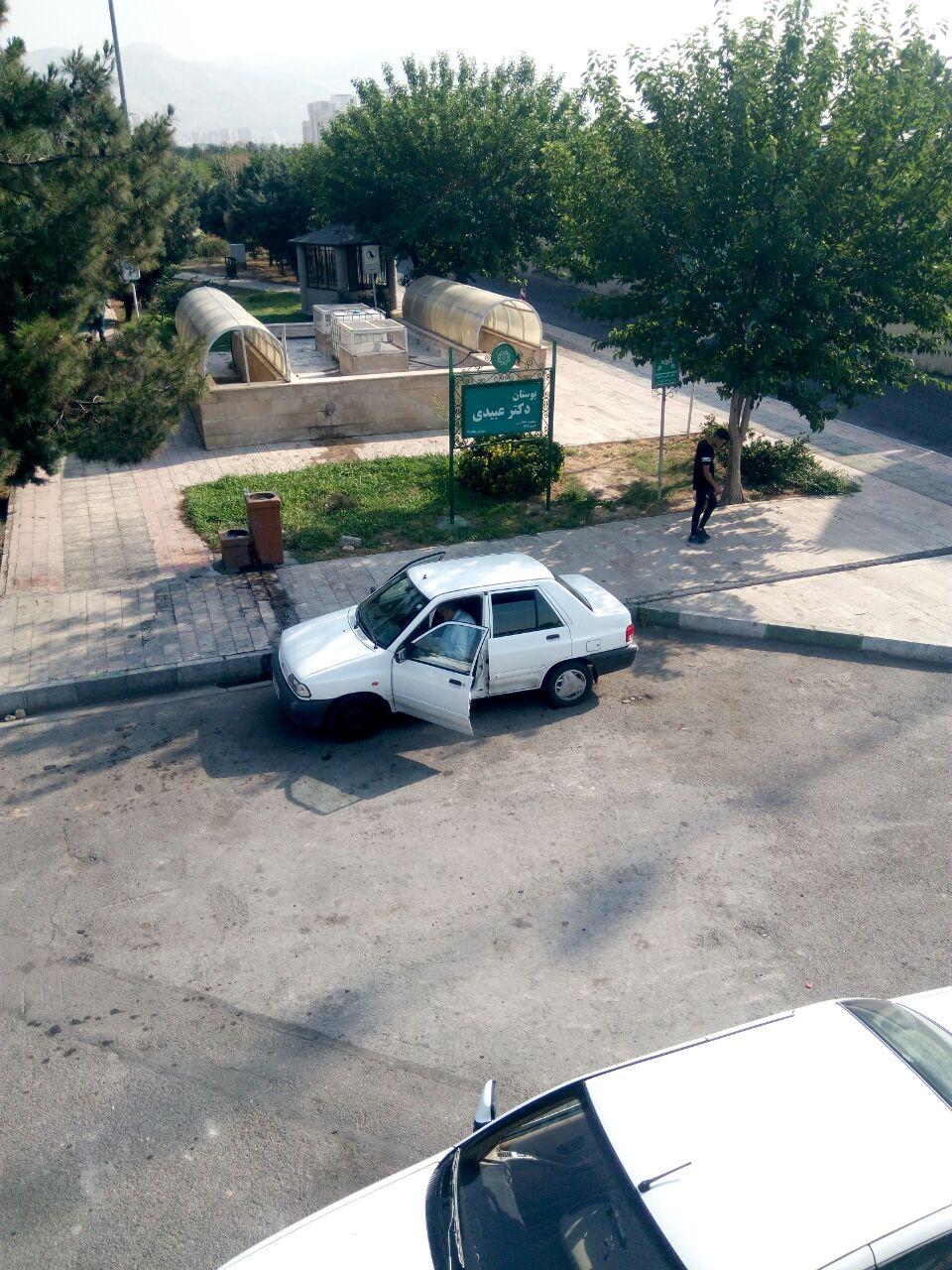عکس بوستان دکتر عبیدی