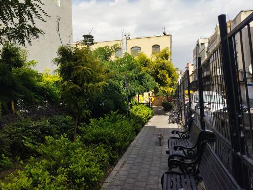 عکس بوستان شهداء سلامت