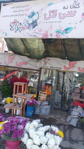 گل فروشی سی گل
