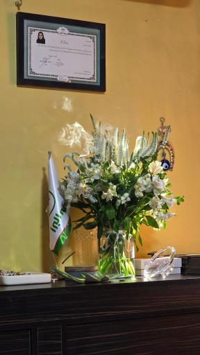 عکس نمایندگی بیمه البرز  شیما فراهانی کد ۸۱۱۸