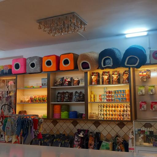 عکس کلینیک دامپزشکی ایلیا