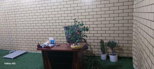 کلینیک حیوانات خانگی دکتر زند