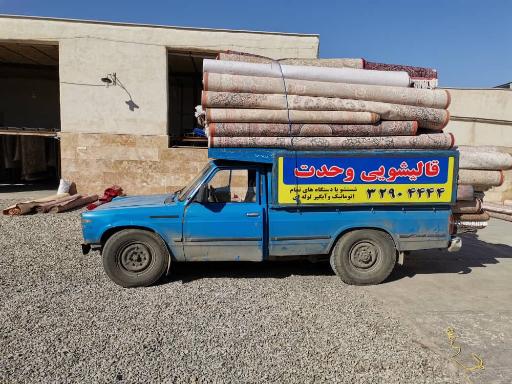 عکس قالیشویی وحدت