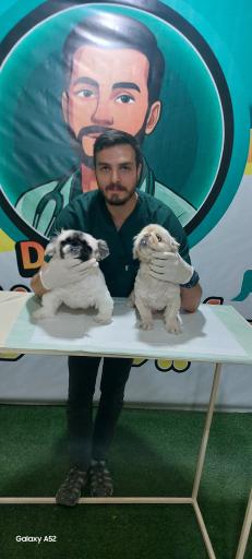 عکس کلینیک حیوانات خانگی دکتر زند