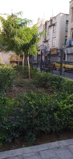 عکس بوستان شهداء سلامت