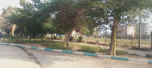 عکس مجموعه فرهنگی ورزشی شهدای شهرداری آبادان