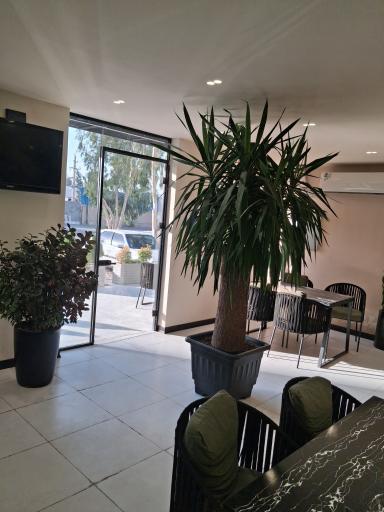 عکس غذای رژیمی زیستار