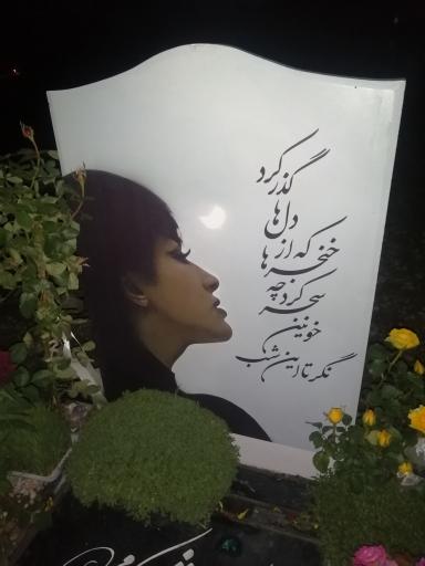 عکس مزار نیکا شاکرمی