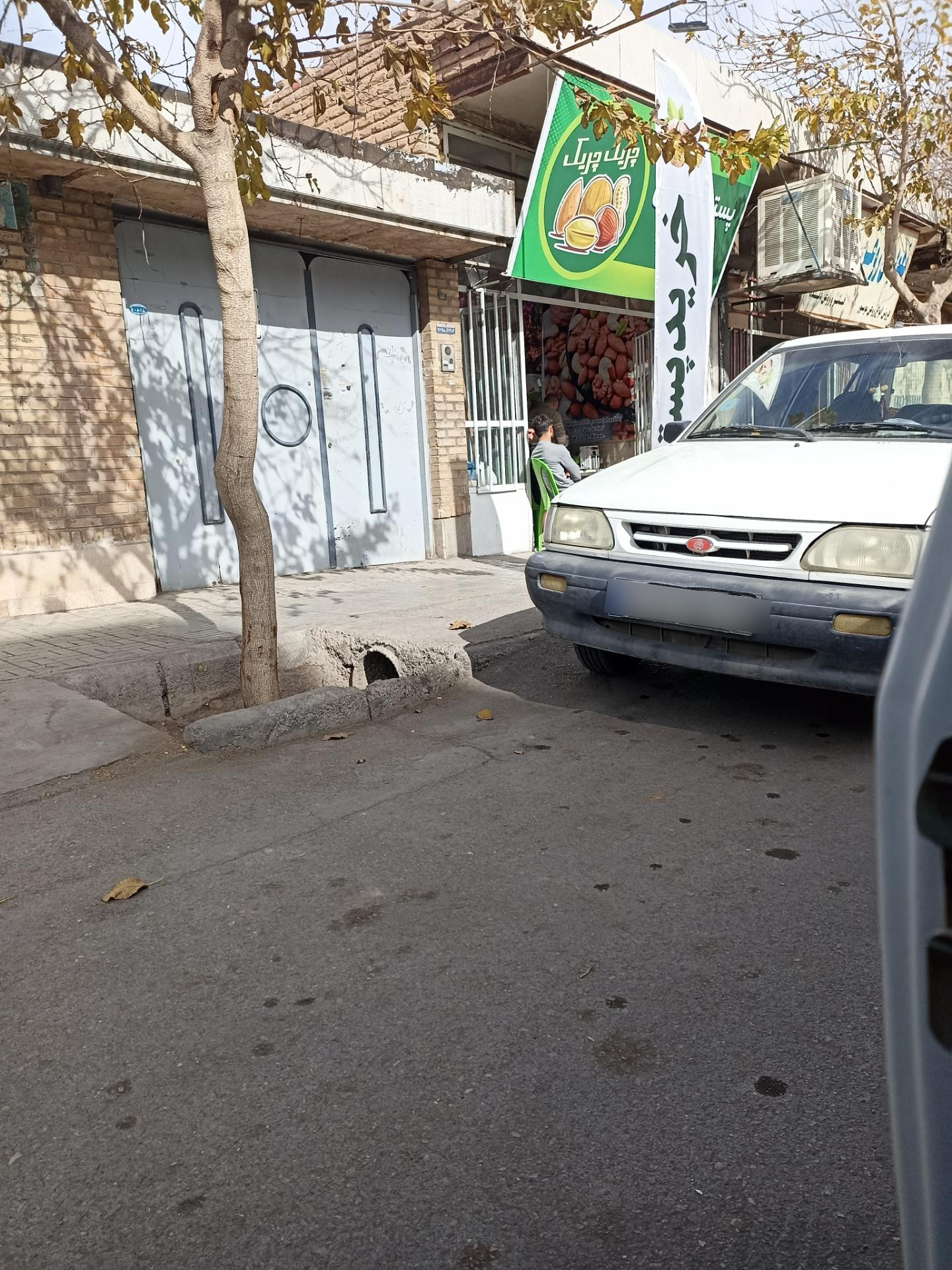 عکس پسته و آجیل چریک چریک