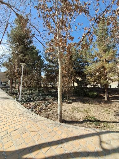 عکس بوستان علیقلی اقا