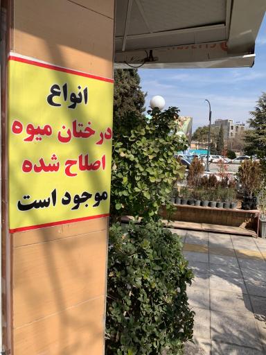 عکس گل فروشی کریستال