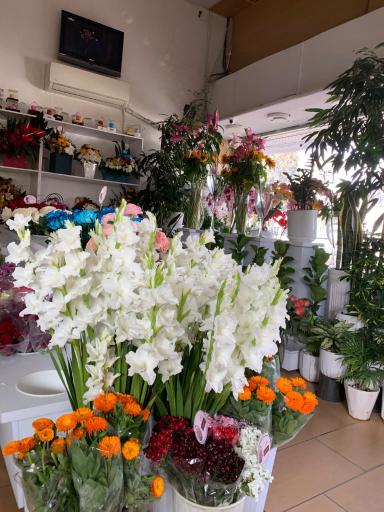 عکس گل فروشی کریستال