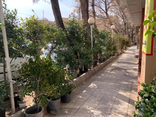 عکس گل فروشی کریستال