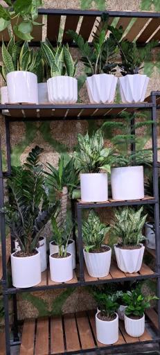 عکس گلکده غدیر 