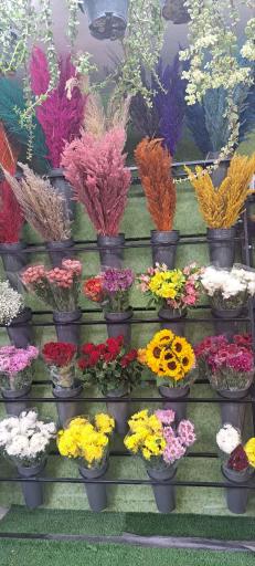 عکس گلکده غدیر 