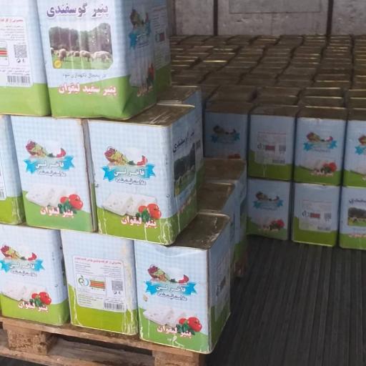 عکس پنیر لیقوان فاخر