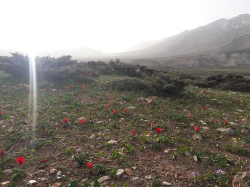 عکس منطقه حفاظت شده سبزکوه