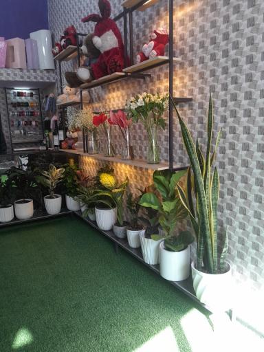 عکس گلفروشی هلین 