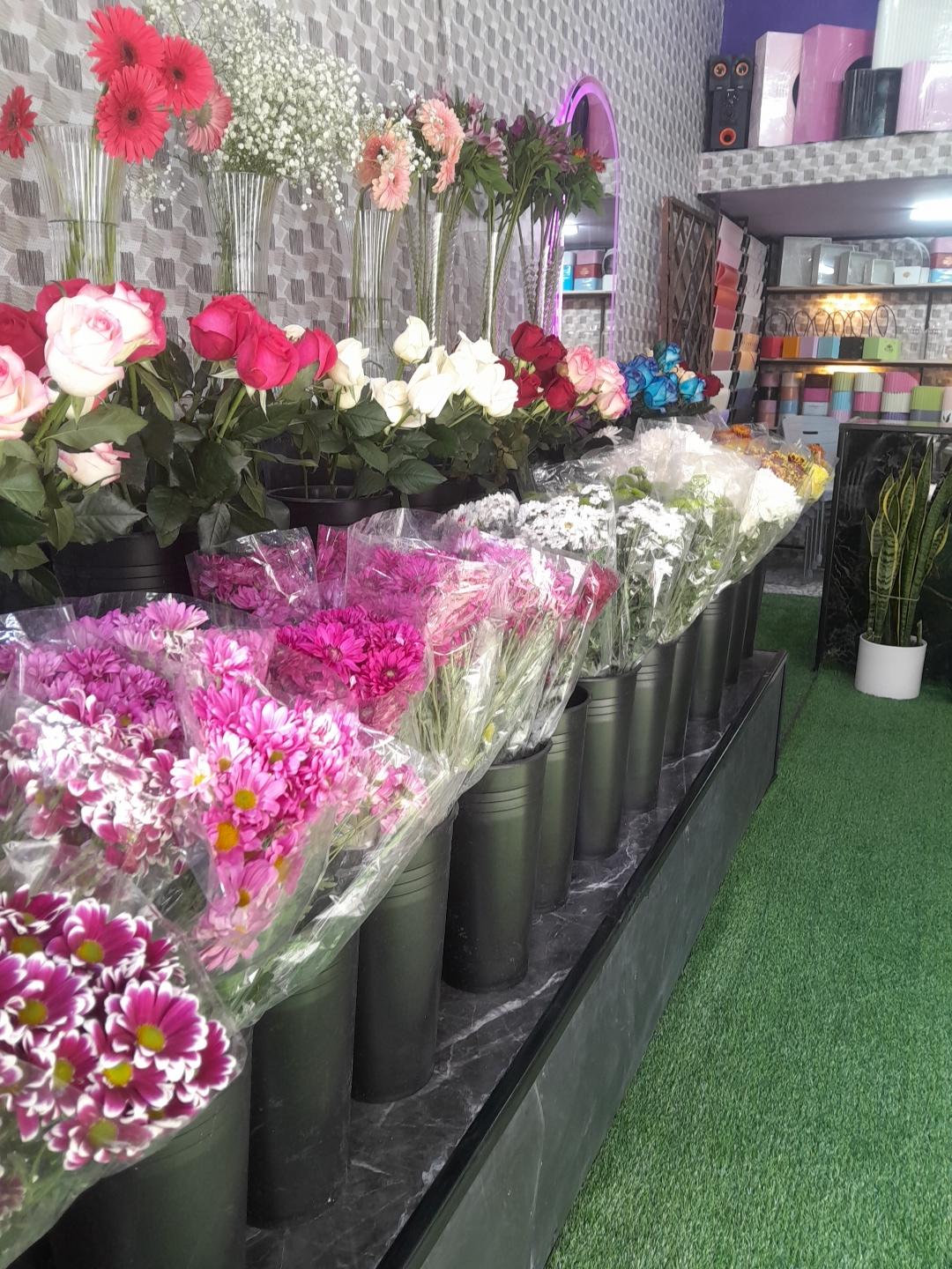 عکس گلفروشی هلین 