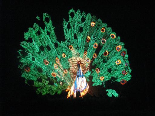 عکس پارک دلال