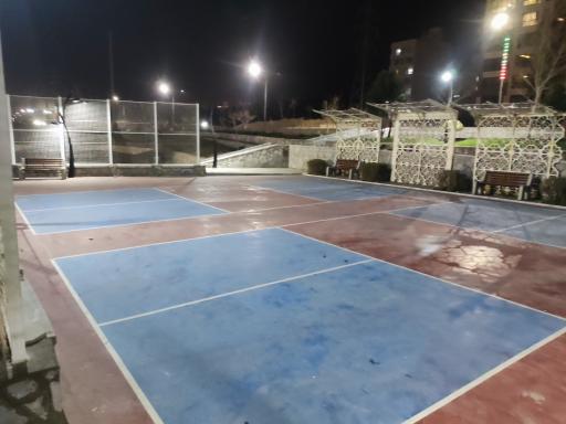 عکس زمین بازی بدمینتن 