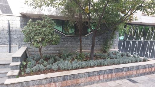 عکس بلوک ۳۹، شهرک پاسارگاد