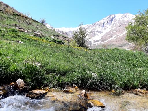 عکس منطقه حفاظت شده سبزکوه