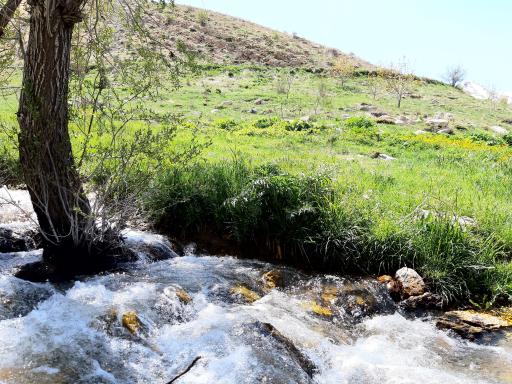 عکس منطقه حفاظت شده سبزکوه