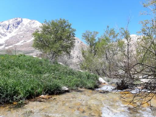 عکس منطقه حفاظت شده سبزکوه