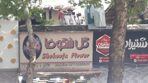 عکس گل فروشی شکوفا