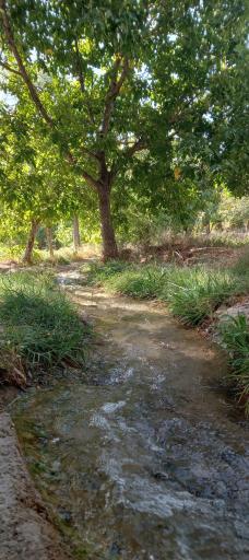 عکس هستیجان