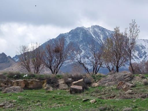 عکس هستیجان