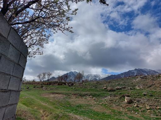 عکس هستیجان