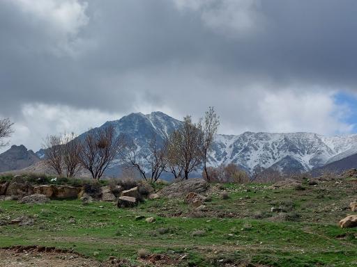 عکس هستیجان
