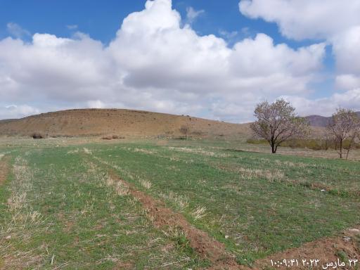 عکس هستیجان
