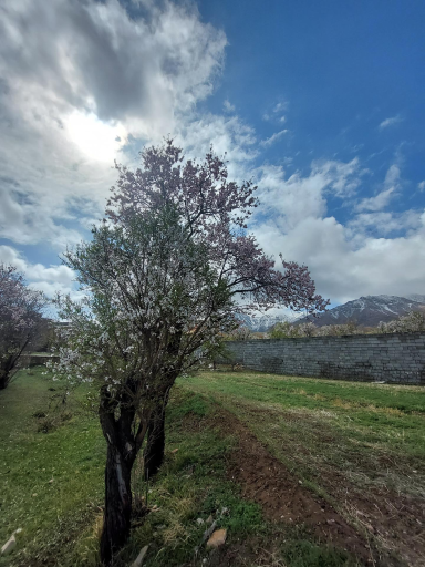 عکس هستیجان