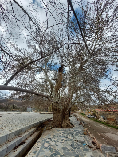 عکس هستیجان